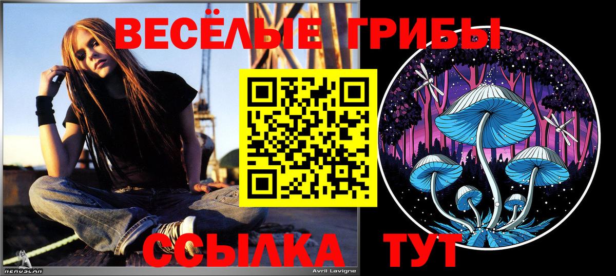 Галлюциногенные грибы Psilocybine cubensis Нефтекумск
